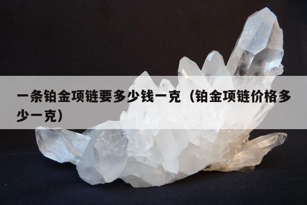 一条铂金项链要多少钱一克，铂金项链价格多少一克