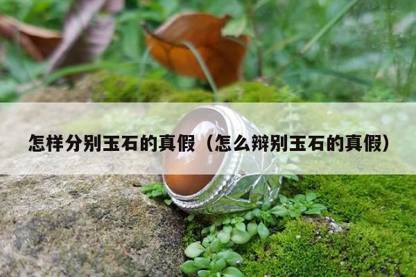 怎样分别玉石的真假，怎么辩别玉石的真假