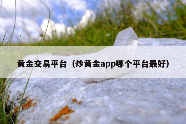 黄金交易平台，炒黄金app哪个平台最好