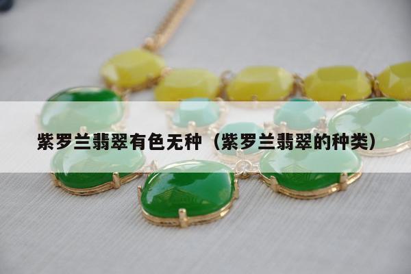 紫罗兰翡翠有色无种，紫罗兰翡翠的种类