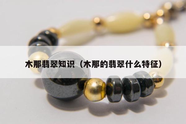 木那翡翠知识，木那的翡翠什么特征