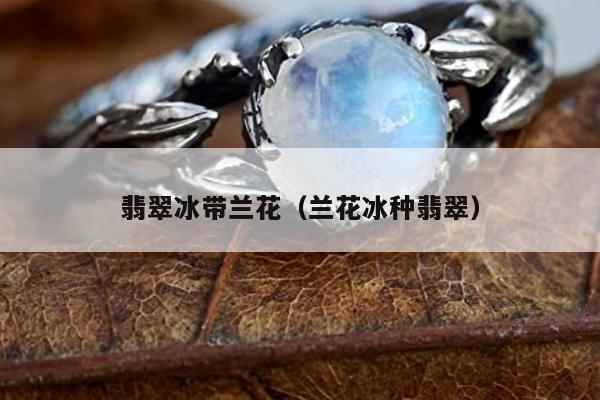 翡翠冰带兰花，兰花冰种翡翠