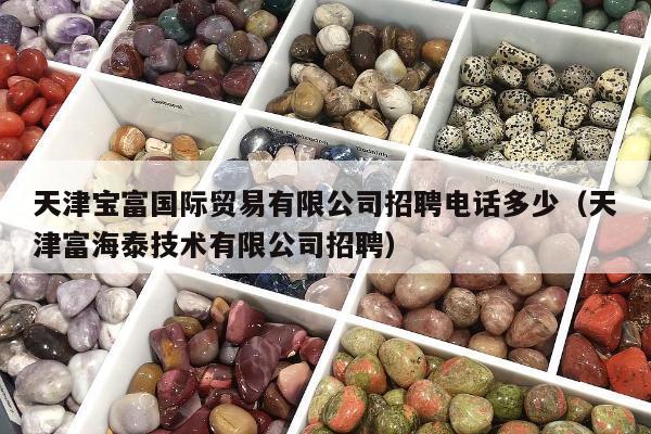 天津宝富国际贸易有限公司招聘电话多少，天津富海泰技术有限公司招聘
