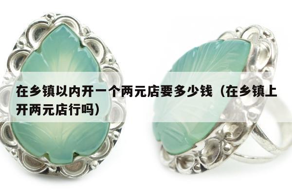在乡镇以内开一个两元店要多少钱，在乡镇上开两元店行吗