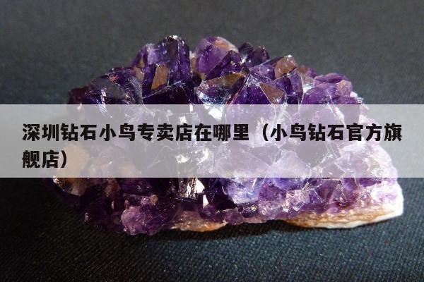 深圳钻石小鸟专卖店在哪里，小鸟钻石官方旗舰店