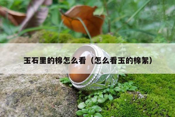玉石里的棉怎么看，怎么看玉的棉絮