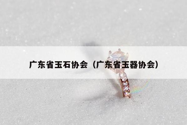广东省玉石协会，广东省玉器协会