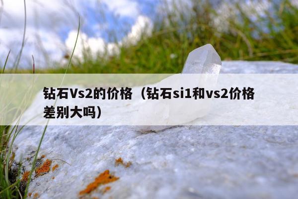 钻石Vs2的价格，钻石si1和vs2价格差别大吗