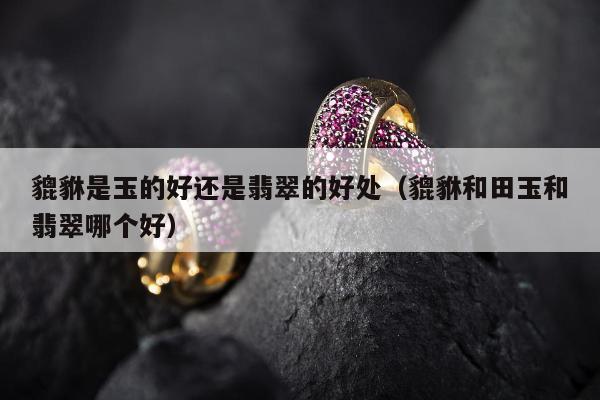 貔貅是玉的好还是翡翠的好处，貔貅和田玉和翡翠哪个好