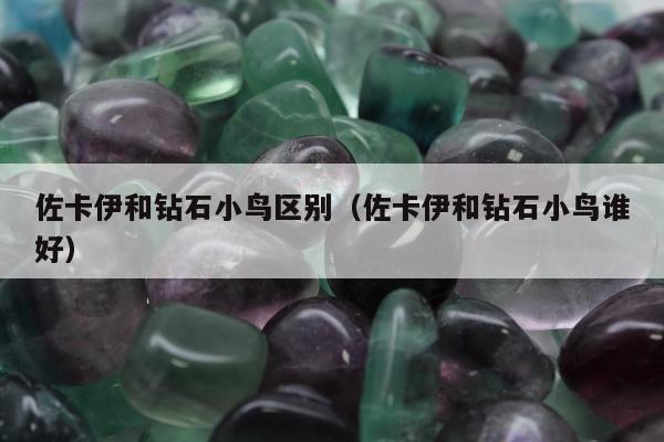 佐卡伊和钻石小鸟区别，佐卡伊和钻石小鸟谁好