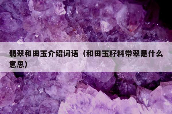 翡翠和田玉介绍词语，和田玉籽料带翠是什么意思