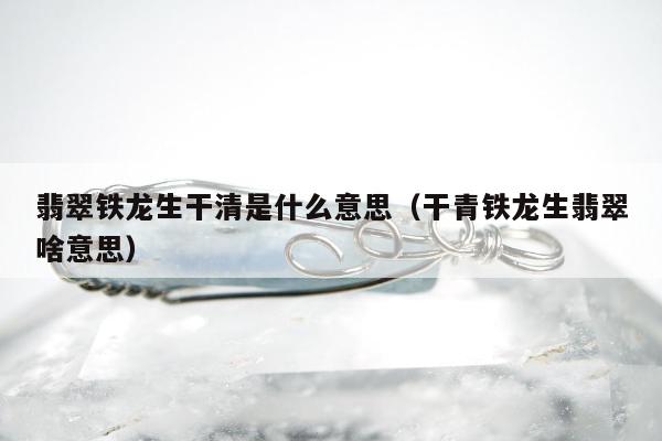 翡翠铁龙生干清是什么意思，干青铁龙生翡翠啥意思