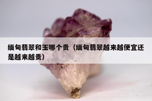 缅甸翡翠和玉哪个贵，缅甸翡翠越来越便宜还是越来越贵