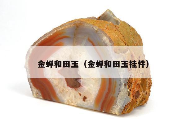 金蝉和田玉，金蝉和田玉挂件