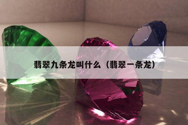 翡翠九条龙叫什么，翡翠一条龙
