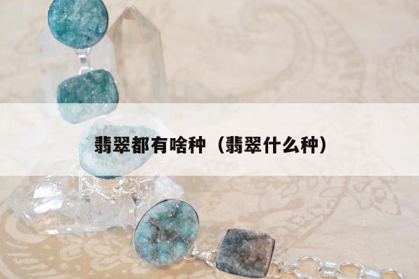 翡翠都有啥种，翡翠什么种