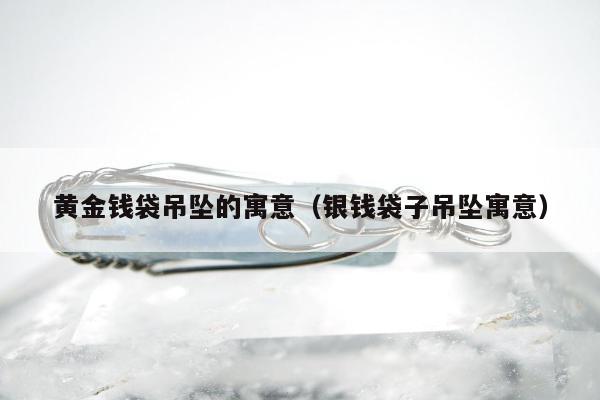 黄金钱袋吊坠的寓意，银钱袋子吊坠寓意