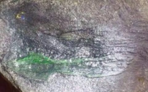 翡翠原石蟒带， 翡翠原石蟒带介绍