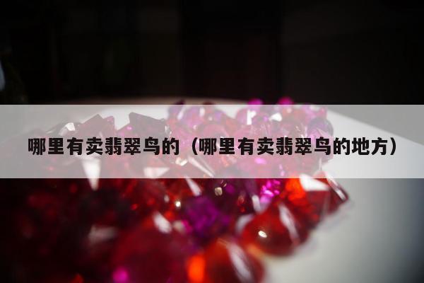 哪里有卖翡翠鸟的，哪里有卖翡翠鸟的地方