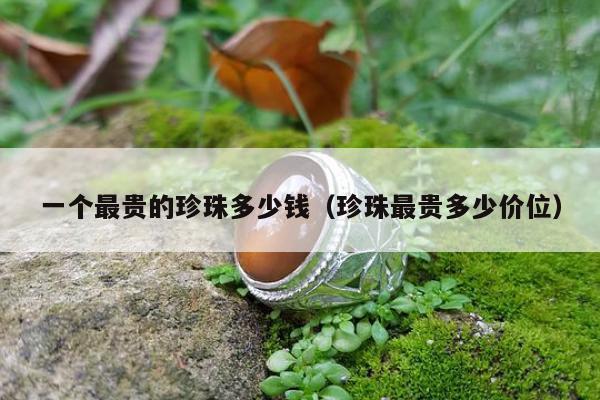 一个最贵的珍珠多少钱，珍珠最贵多少价位
