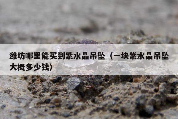 潍坊哪里能买到紫水晶吊坠，一块紫水晶吊坠大概多少钱