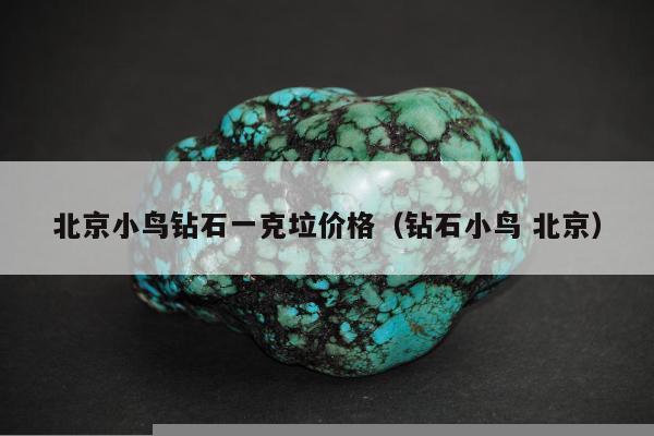 北京小鸟钻石一克垃价格，钻石小鸟 北京