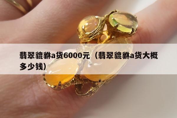 翡翠貔貅a货6000元，翡翠貔貅a货大概多少钱
