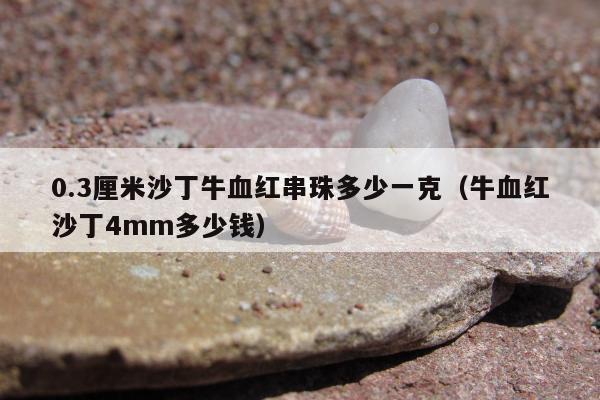 .3厘米沙丁牛血红串珠多少一克，牛血红沙丁4mm多少钱"