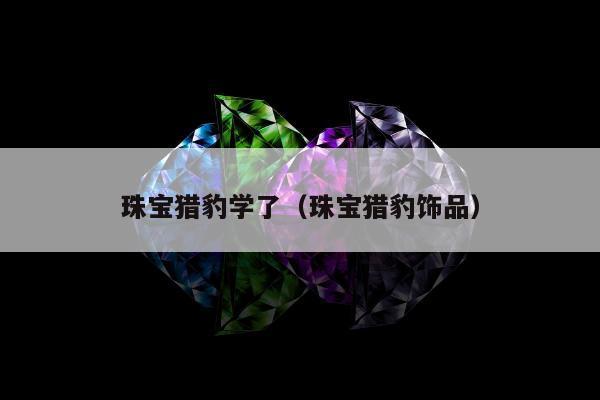 珠宝猎豹学了，珠宝猎豹饰品
