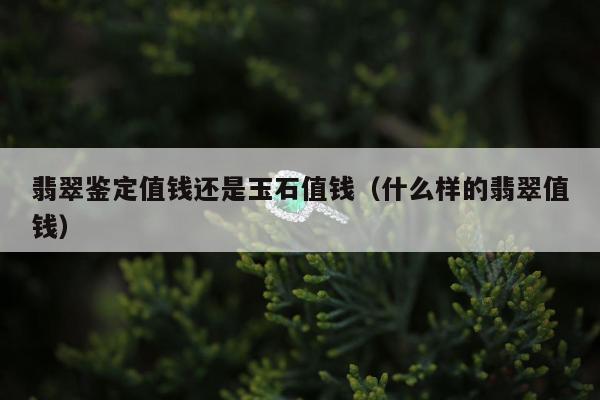 翡翠鉴定值钱还是玉石值钱，什么样的翡翠值钱
