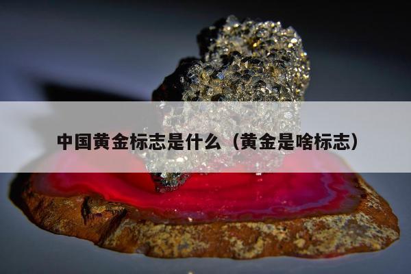 中国黄金标志是什么，黄金是啥标志