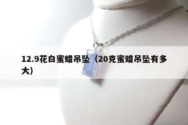 2.9花白蜜蜡吊坠，20克蜜蜡吊坠有多大"