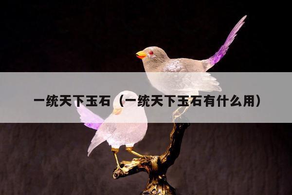 一统天下玉石，一统天下玉石有什么用