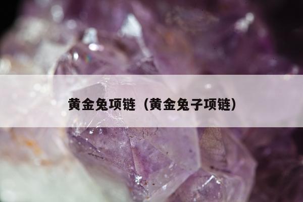 黄金兔项链，黄金兔子项链