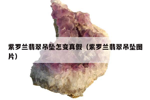紫罗兰翡翠吊坠怎变真假，紫罗兰翡翠吊坠图片