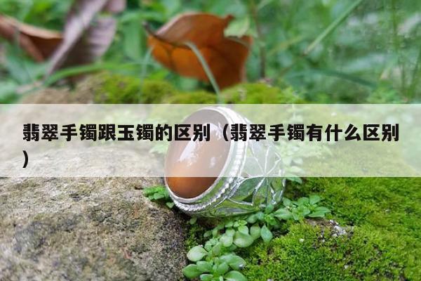 翡翠手镯跟玉镯的区别，翡翠手镯有什么区别