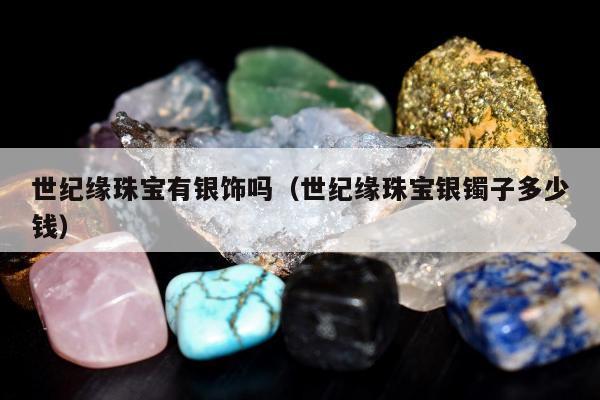 世纪缘珠宝有银饰吗，世纪缘珠宝银镯子多少钱