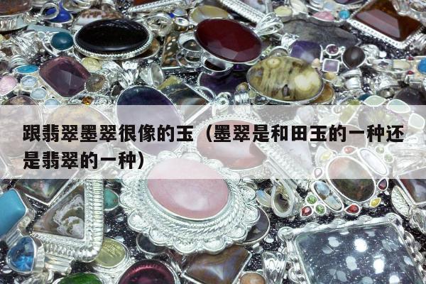 跟翡翠墨翠很像的玉，墨翠是和田玉的一种还是翡翠的一种