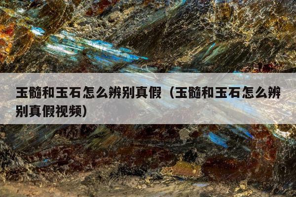 玉髓和玉石怎么辨别真假，玉髓和玉石怎么辨别真假视频