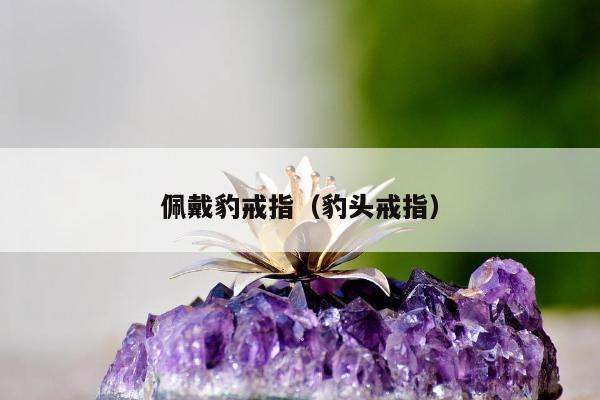 佩戴豹戒指，豹头戒指