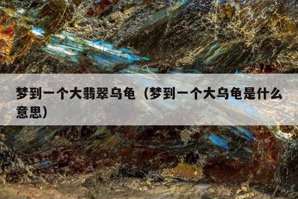 梦到一个大翡翠乌龟，梦到一个大乌龟是什么意思