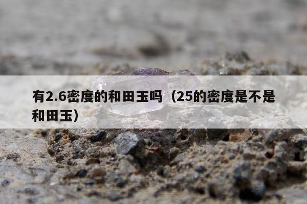 有2.6密度的和田玉吗，25的密度是不是和田玉