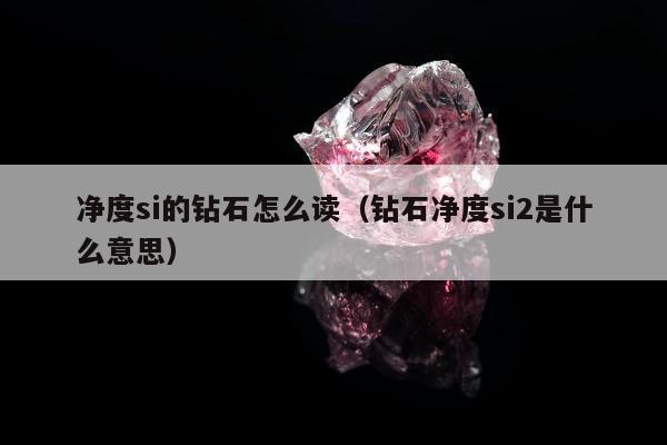 净度si的钻石怎么读，钻石净度si2是什么意思