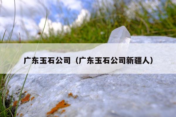 广东玉石公司，广东玉石公司新疆人