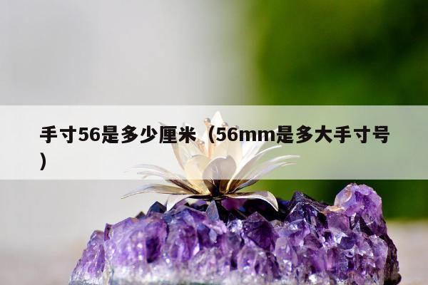 手寸56是多少厘米，56mm是多大手寸号