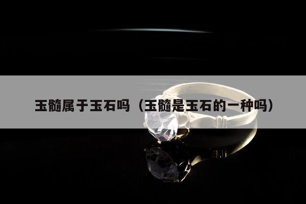 玉髓属于玉石吗，玉髓是玉石的一种吗