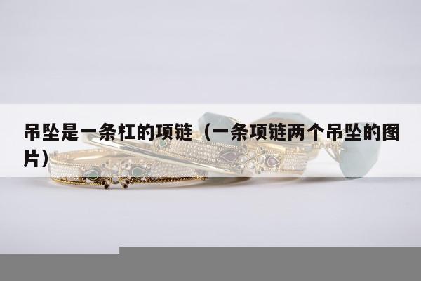 吊坠是一条杠的项链，一条项链两个吊坠的图片