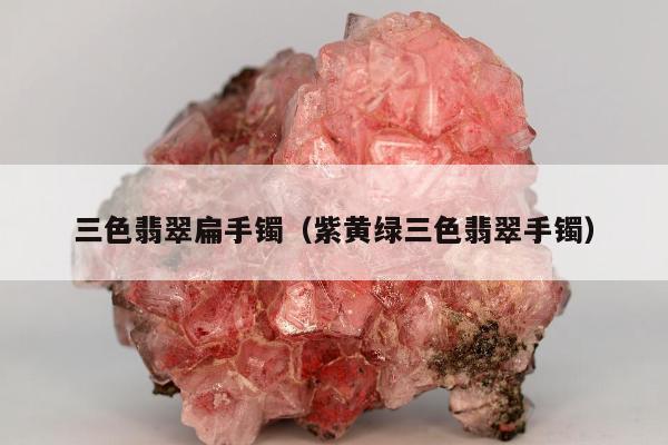 三色翡翠扁手镯，紫黄绿三色翡翠手镯