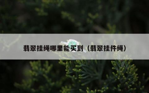 翡翠挂绳哪里能买到，翡翠挂件绳