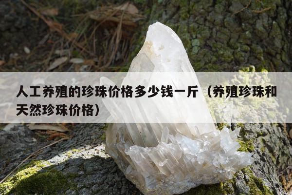 人工养殖的珍珠价格多少钱一斤，养殖珍珠和天然珍珠价格